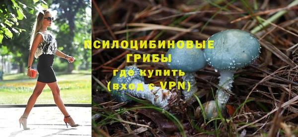 таблы Алексеевка