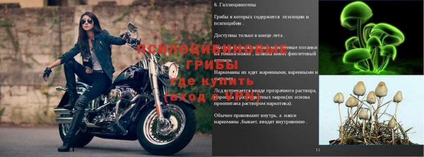 дмт Алзамай