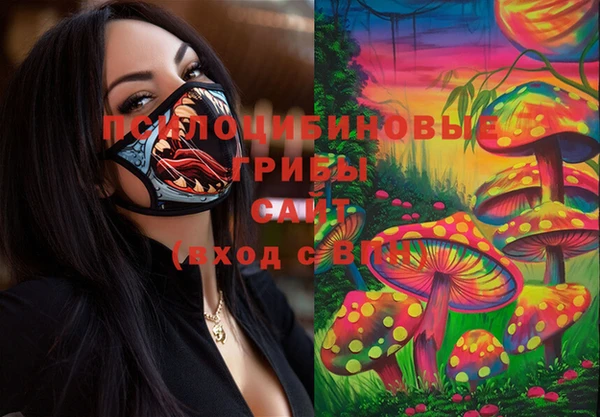дмт Алзамай